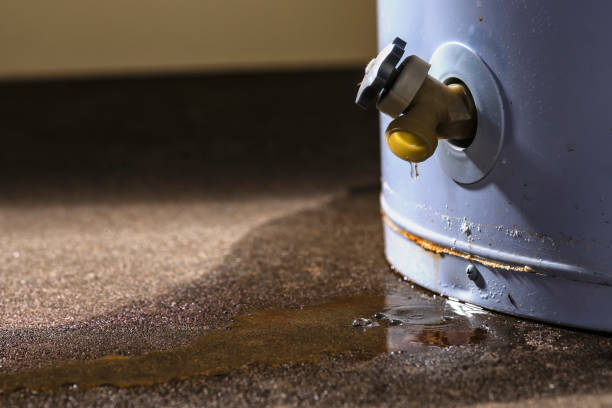 Best Fire Damage Restoration  in Northampton, PA