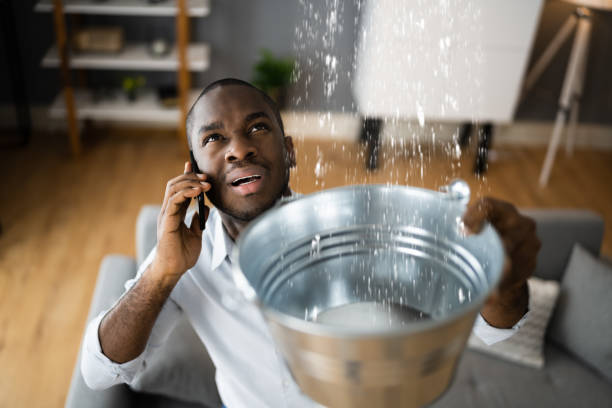 Best Water damage restoration near me  in Northampton, PA