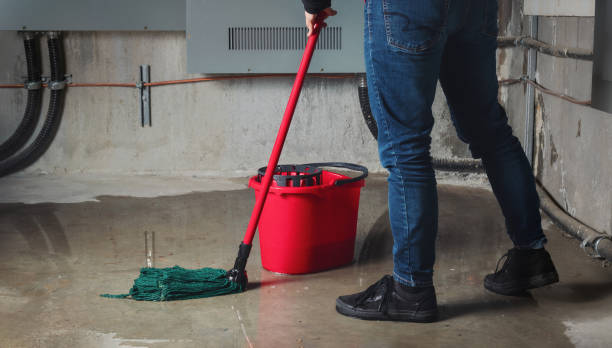 Best Water damage restoration near me  in Northampton, PA