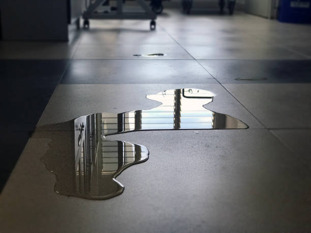 Best Water damage cleanup near me  in Northampton, PA