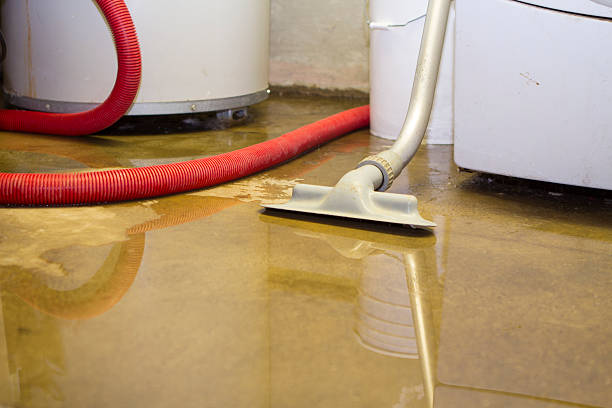 Best 24-hour water damage restoration  in Northampton, PA