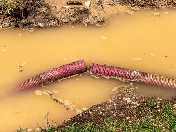 Best Sewage cleanup and water damage restoration  in Northampton, PA